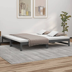 vidaXL Lit coulissant sans matelas gris 2x(80x200)cm