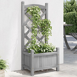 Maison Chic Jardinière,Bac à fleurs avec treillis - pot de fleur gris bois massif de sapin -GKD76006