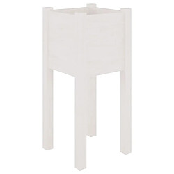 Maison Chic Jardinière,Bac à fleurs - pot de fleur d'extérieur Blanc 31x31x70 cm Bois de pin massif -GKD15079