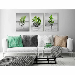 Paris Prix Tableau Imprimé Plants Collection 30 x 60 cm