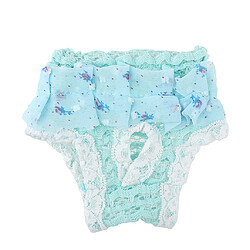 Chienne élastique-culotte Physique Des Sous-vêtements En Dentelle Sanitaire Lac De Bleus