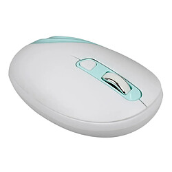 Acheter Souris sans fil pour ordinateur portable