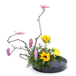 Avis plastique rond ikebana suiban vase pot bonsaï fleur conteneur noir 28cm