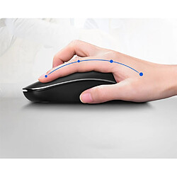 Avis General Souris sans fil grande sourdine ergonomique rechargeable, souris optique ergonomique 2.4G, Windows PC Office, noir()