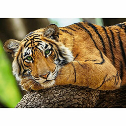 Acheter Trefl 37397 - Puzzle Portrait de Tigre - 500 pièces - pour Enfants à partir de 10 Ans