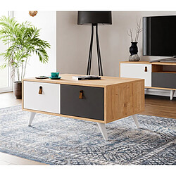 Avis EPIKASA Table Basse Pera