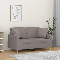 Maison Chic Canapé 2 places avec oreillers,Sofa de Salon,Canapé droit gris clair 120 cm tissu -GKD782486