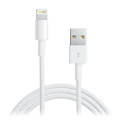 Platyne Cable Usb Vers Lightning 2 Metres