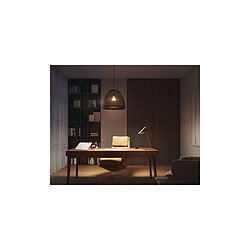 Philips Hue Ampoule LED Intelligente E27 15.5W 1600 lm A67 Hue White Blanc chaud 2700K pas cher