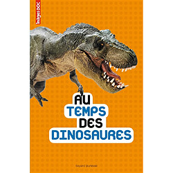 Au temps des dinosaures - Occasion