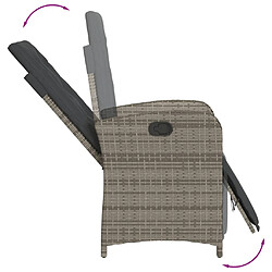 Acheter vidaXL Ensemble à manger de jardin 9 pcs coussins gris résine tressée