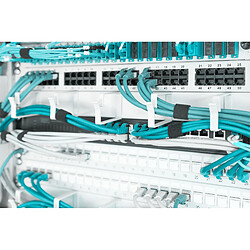 Avis Digitus Panneau de rangement de câbles avec anneaux pour armoires de 483 mm (19 po), 1 UH