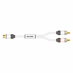 Câble audio 2 RCA (10 mètres)