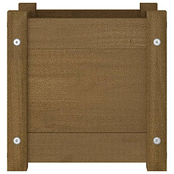 Acheter vidaXL Jardinières d'extérieur 2pcs Marron miel 31x31x31cm Bois de pin