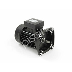 Moteur pour pompes Ultraflow, Whisperflow et Superflo 0,75 CV Tri - Pentair