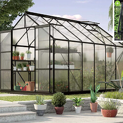 Vitavia Serre de jardin en polycarbonate 4 mm et aluminium noir avec embase Jupiter Longueur de 383 cm.