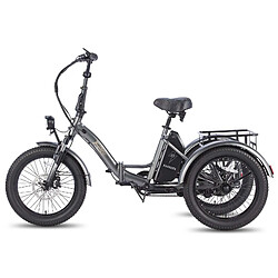 FAFREES F20 Mate Vélo Électrique - Moteur 500W Batterie 48V18.2AH Assisted Autonomie 110KM Freins Hydrauliques - Gris