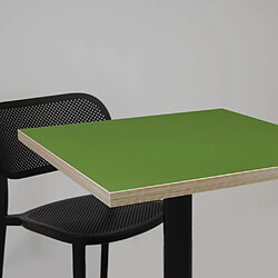 Restootab Table 70x70cm - modèle Bazila vert chants bois