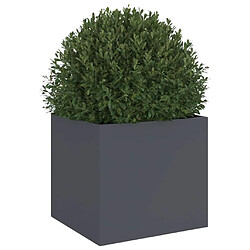 Avis vidaXL Jardinière anthracite 32x30x29 cm acier