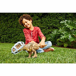 Acheter Ludendo Jurassic World - Figurine Dinosaure T. Rex Furie Suprême