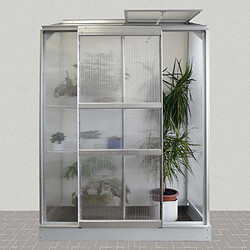 Acheter Vitavia Serre de jardin en polycarbonate 4 mm et aluminium anodisé avec embase Ida 66.8 x 130.6 x 182.30 cm.