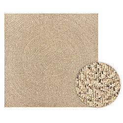 vidaXL Tapis ZIZUR 200x200 cm aspect de jute intérieur et extérieur