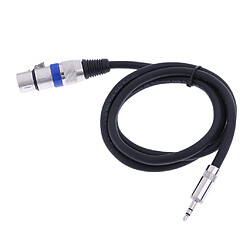 XLR asymétrique femelle à 3.5mm micro câble aux cordon audio câble 100cm pas cher