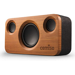 Chrono Enceinte Bluetooth Tribit StormBox Pro, une enceinte Bluetooth portable avec une qualité sonore HiFi 360°, système audio 2.1 avec caisson de basses intégré, autonomie 24h, étanchéité IP67(Brun)