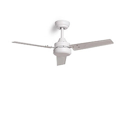 Avis Ledkia Ventilateur de plafond silencieux Extérieur Vacker 105cm Motor DC Sans lumière Télécommande