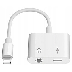 GUPBOO Adaptateur pour iPhone LIGHTING JACK7/8/X,JL125