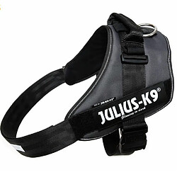 Julius K9 IDC Harnais pour chiens Taille 4 Anthracite 16IDC-ANT-4