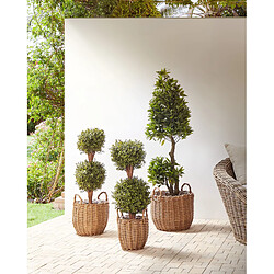 Beliani Lot de 3 pots de fleurs AUCUBA Polyrotin Marron clair