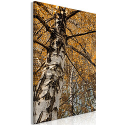 Decoshop26 Tableau toile de décoration murale impression premium en 1 partie sur châssis en bois motif Couleurs d'automne 20x30cm 11_0017596