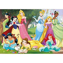 Educa Borras DISNEY PRINCESSES Puzzle 500 Princesses Disney