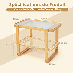 Acheter Helloshop26 Table d'appoint en bambou à 2 niveaux plateau en verre table de chevet table basse compacte pour chambre salon naturel 20_0005205