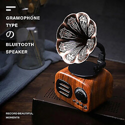 Universal Retro Radio Bluetooth Sound Amplificateur portable Mini Play sans fil | Bibeaux de bibliothèque (acajou)