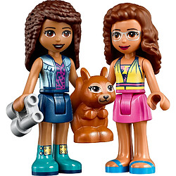 Acheter LEGO Friends La cascade dans la forêt