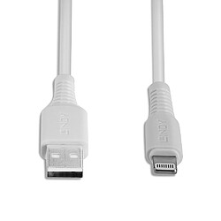 Acheter Lindy 31328 câble USB 3 m USB A Blanc