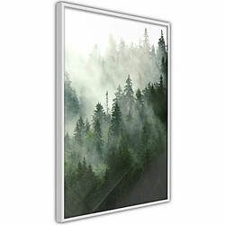 Paris Prix Affiche Murale Encadrée Steaming Forest 20 x 30 cm Blanc