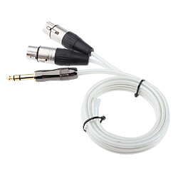 Remplacement du câble audio 6.35mm mâle vers dual xlr femelle pour haut-parleur 150cm pas cher