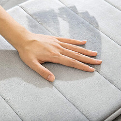 Avis Tapis de Bain Antiderapant Absorbant 50x80cm Gris