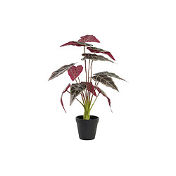 Plante décorative DKD Home Decor Vert Bordeaux PE (20 x 20 x 49 cm)