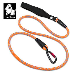 Universal Laisse pour chien en nylon avec crochet en alliage d'aluminium réfléchissant, anneau en acier inoxydable, poignée en néoprène, randonnée & 124 ; traction (orange)