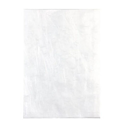 Pochettes plastique Tyvek 305 x 406 avec soufflets 51 mm - Paquet de 20