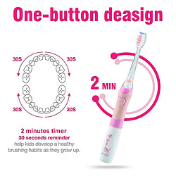 Universal Brosse à dents électrique alimentée par batterie, LED de couleur, chronomètre intelligent, brosse à dents, tête de brosse DuPont remplaçable |