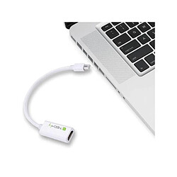 Techly Adaptateur DisplayPort mâle sur HDMI femelle, blanc, 15cm