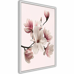 Paris Prix Affiche Murale Encadrée Blooming Magnolias I 20 x 30 cm Blanc