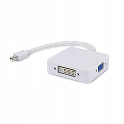 GUPBOO Adaptateur Mini DP DisplayPort vers VGA/DVI-I/HDMI,JL1204