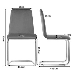 ComfortXL Chaise Freischwinger (set De 2), Structure En Métal Chromé, Gris