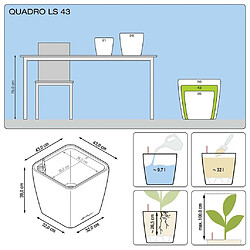 LECHUZA Jardinière QUADRO LS 43 ALL-IN-ONE charbon 16183 pas cher